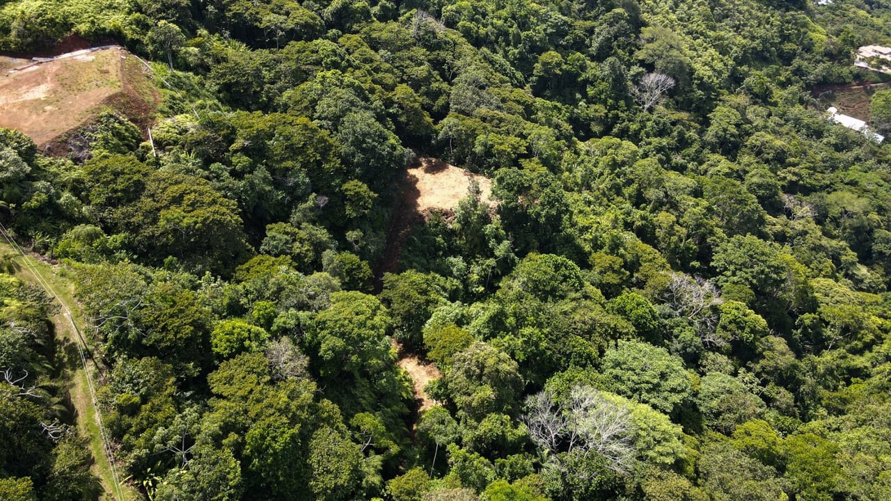 Panoramic Ocean View Lot, Dominical, Puntarenas