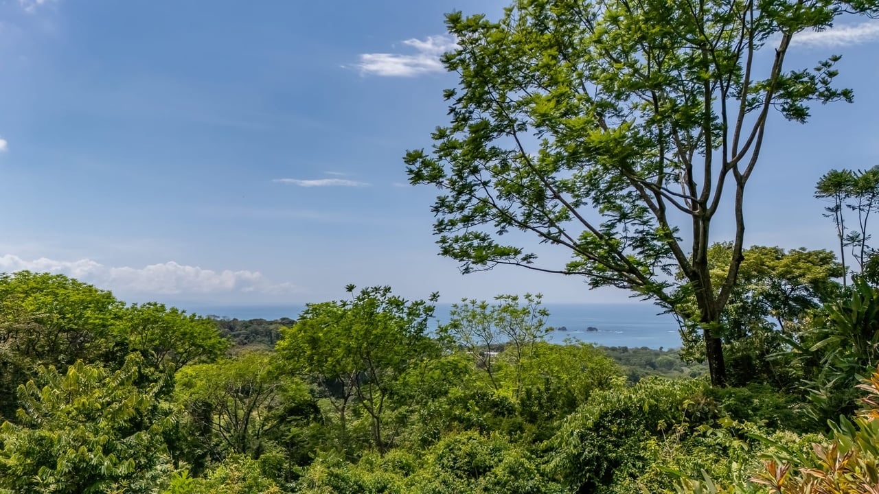 3 Bedroom Ocean View Home with 2.5 acres. Nature and Privacy! 