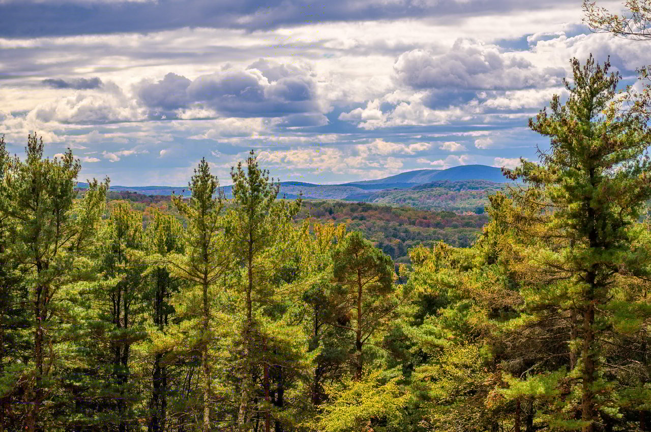 The Ridge at Copake Lake, No. 2