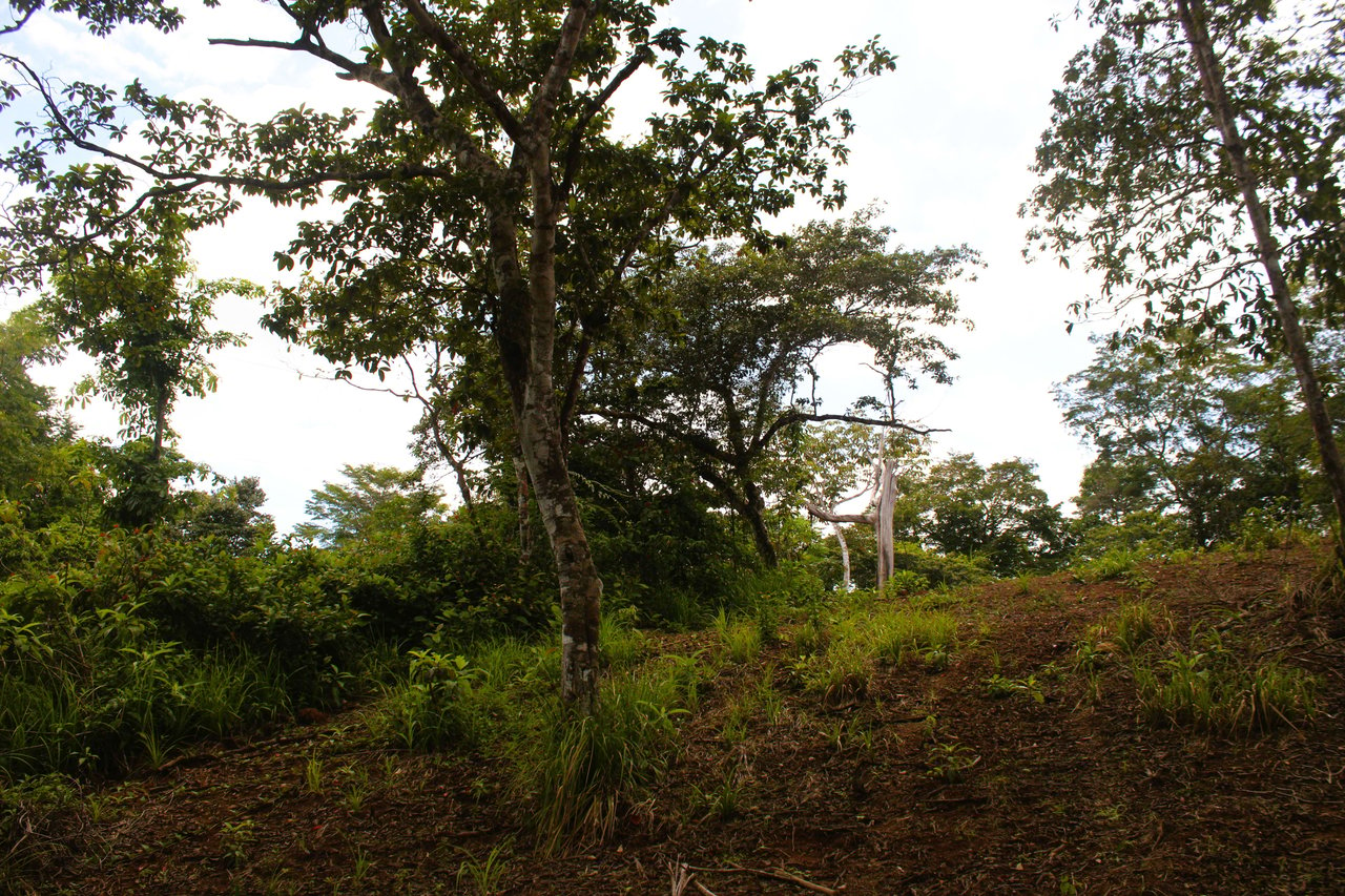 Wildlife Reserve Farm close to Ojochal