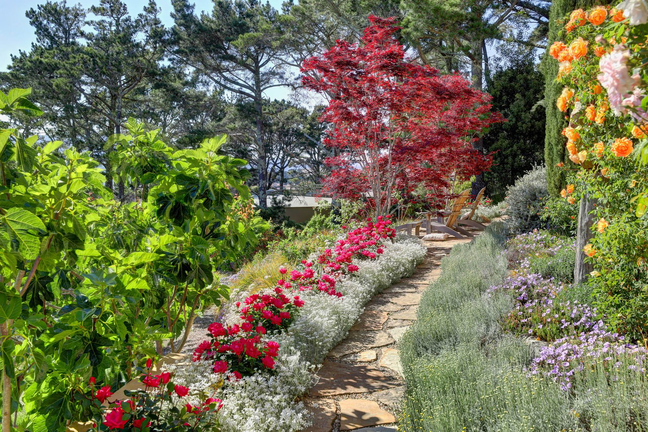 Extraordinary Tiburon Sanctuary