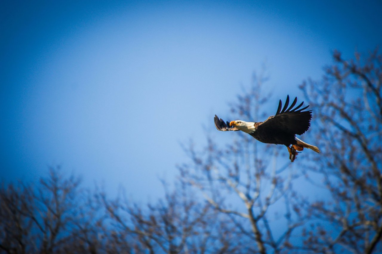 Living in Blue Ridge, GA