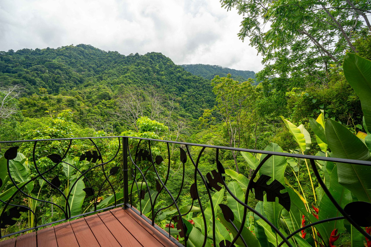 Multi-Home Luxury Estate, With Jungle, Mountain And Ocean Views, Private Waterfalls And Orchards On 71 Acres In Gated Community!