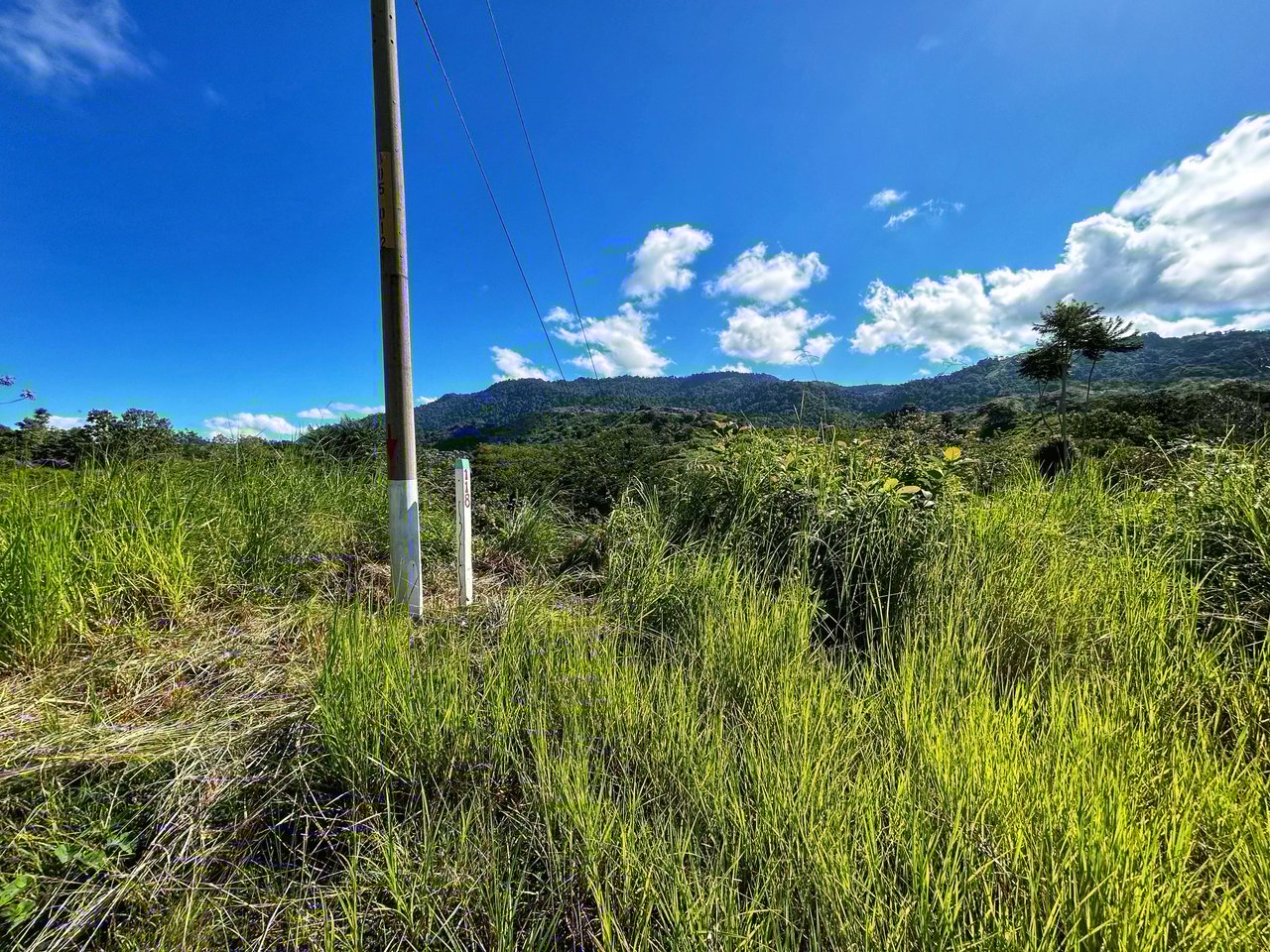 Exclusive Two-Lot Oasis: Your Dream Home Awaits in Gated Paradise!