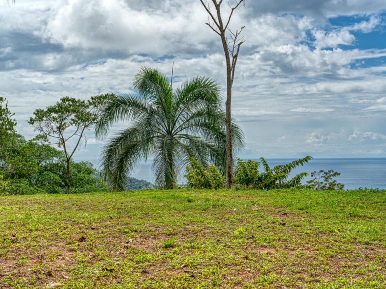 Ocean View Waterfall Land, Manuel Antonio, Puntarenas