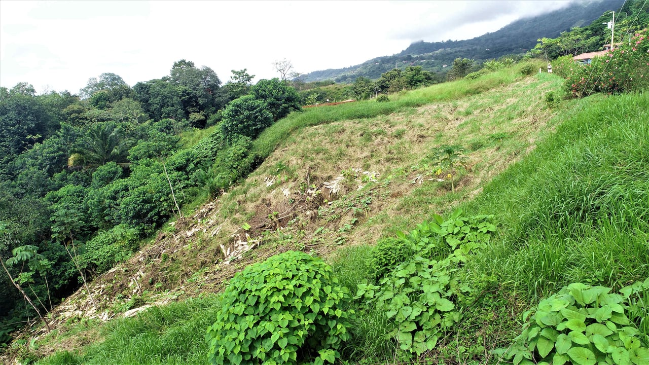 Large Mountain View Lot. 