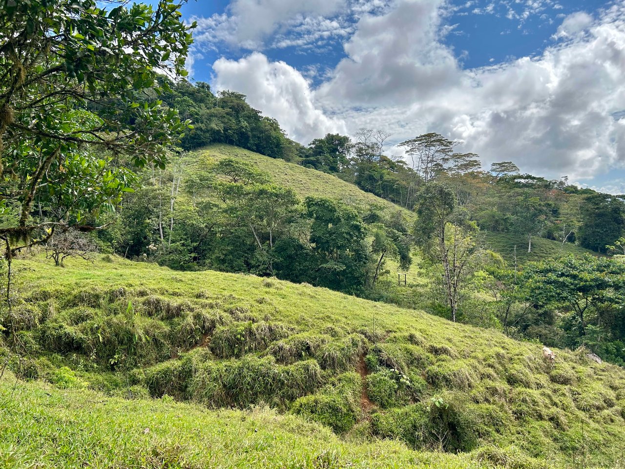 Hidden Gem: Serene Farm Retreat with Majestic Views in Costa Rica