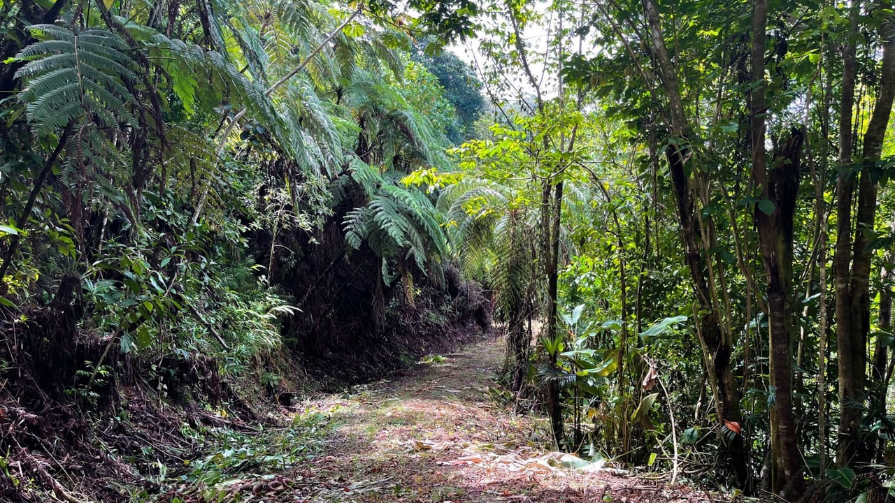 Panoramic Ocean View Lot, Dominical, Puntarenas