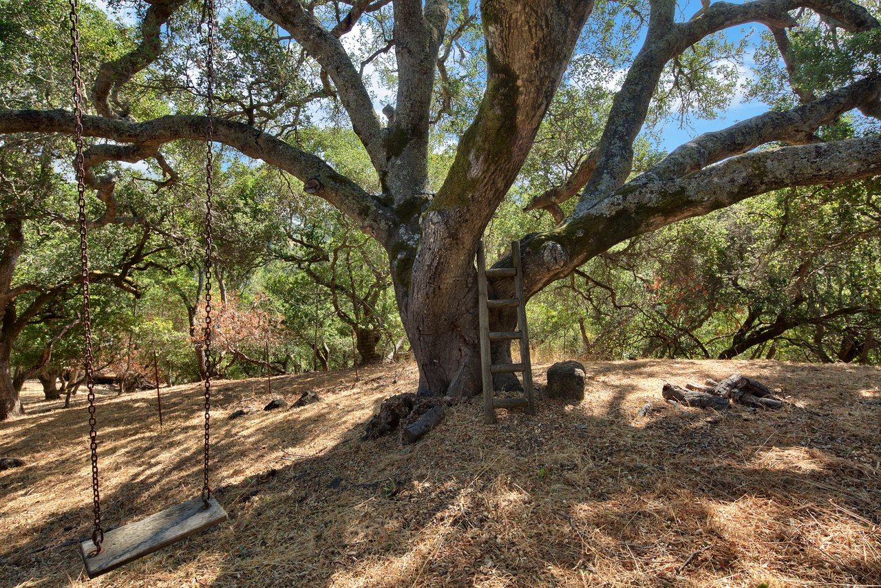 205 Stuyvesant Drive, San Anselmo