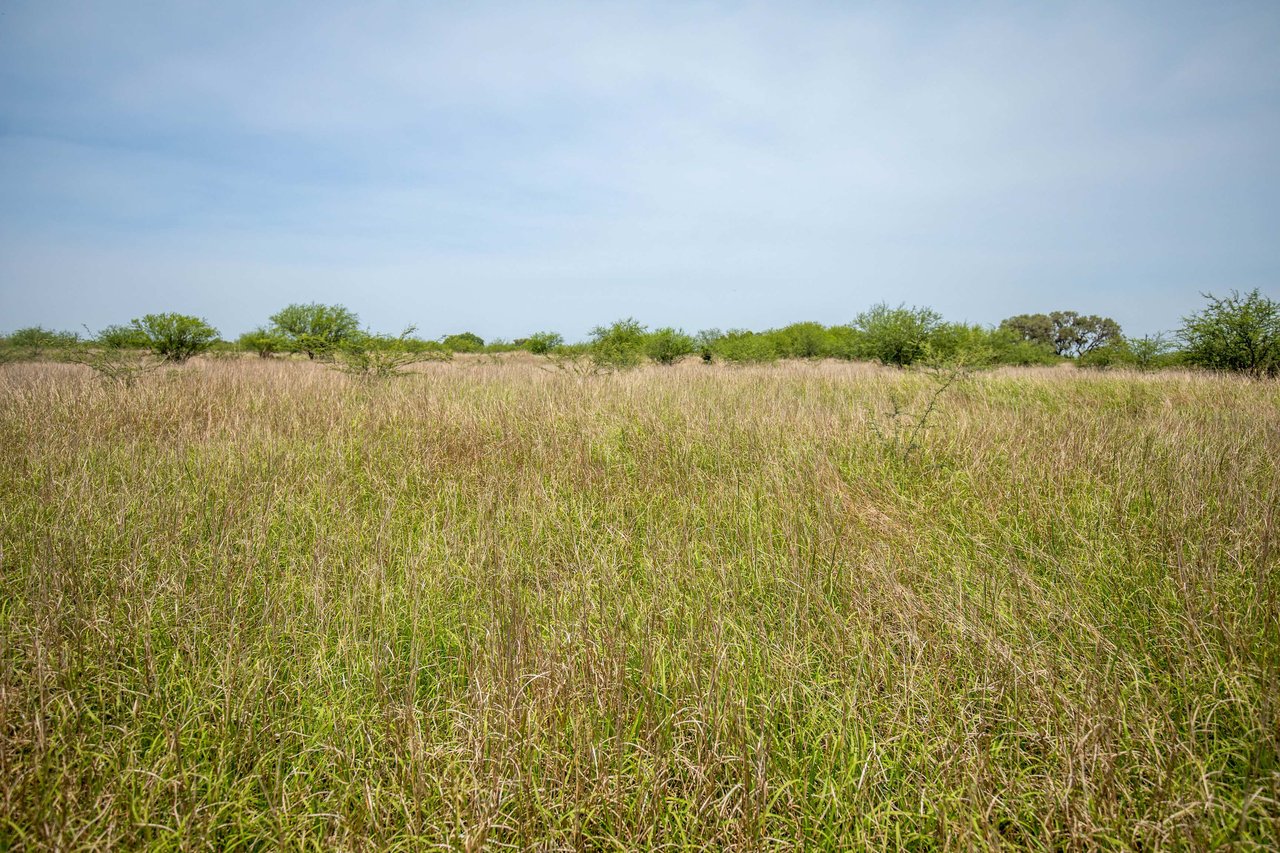 Green DeWitt Rd | 40.82± Acres | DeWitt County