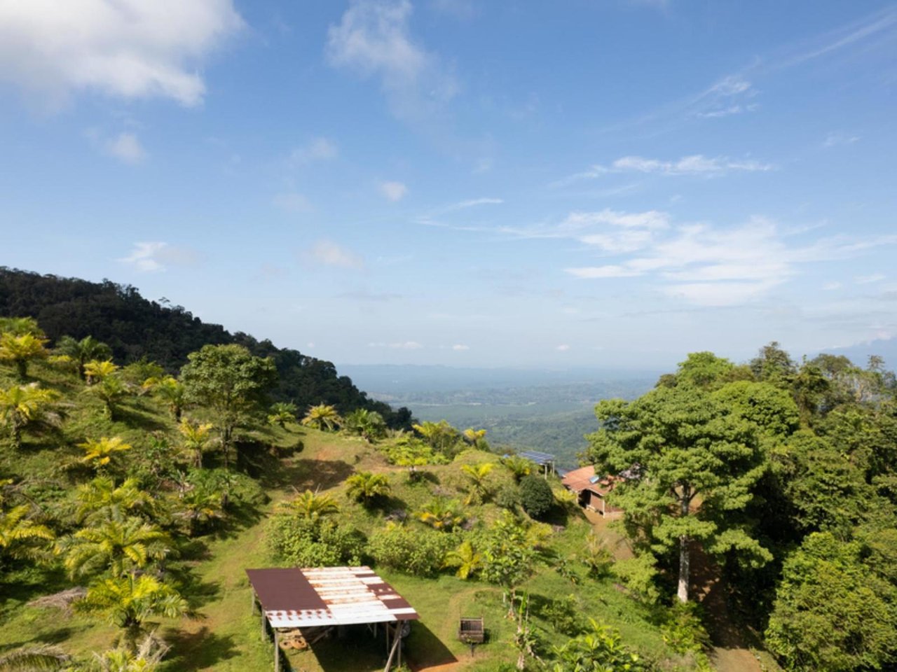 Expansive Ocean View Development Land, Manuel Antonio, Puntarenas