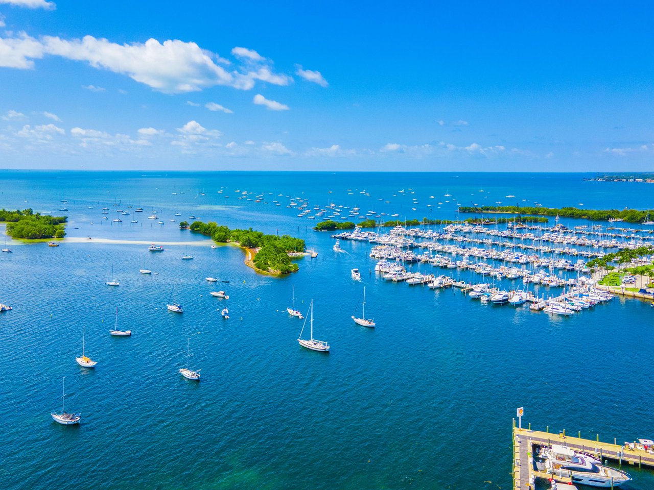 Frenzied Coconut Grove Real Estate market, prices and values