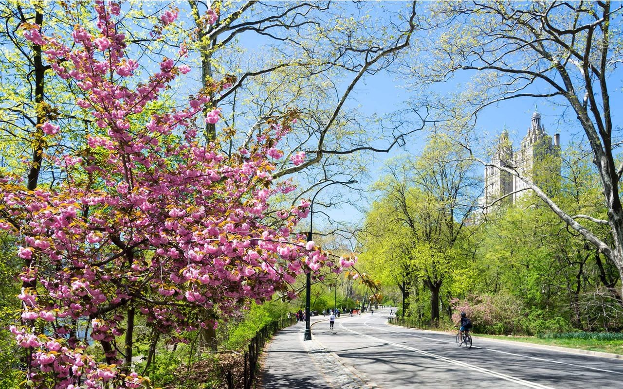 The City Blooms, The Market Booms: The Positive Effect of Spring in New York City