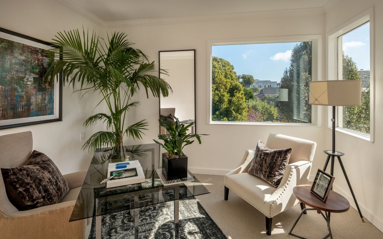Elegant Home Fronting Alta Plaza Park