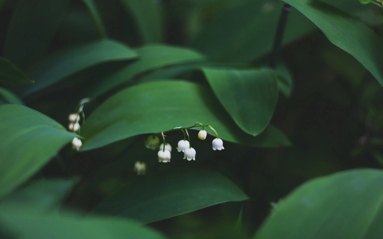 APRIL CALENDAR OF EVENTS