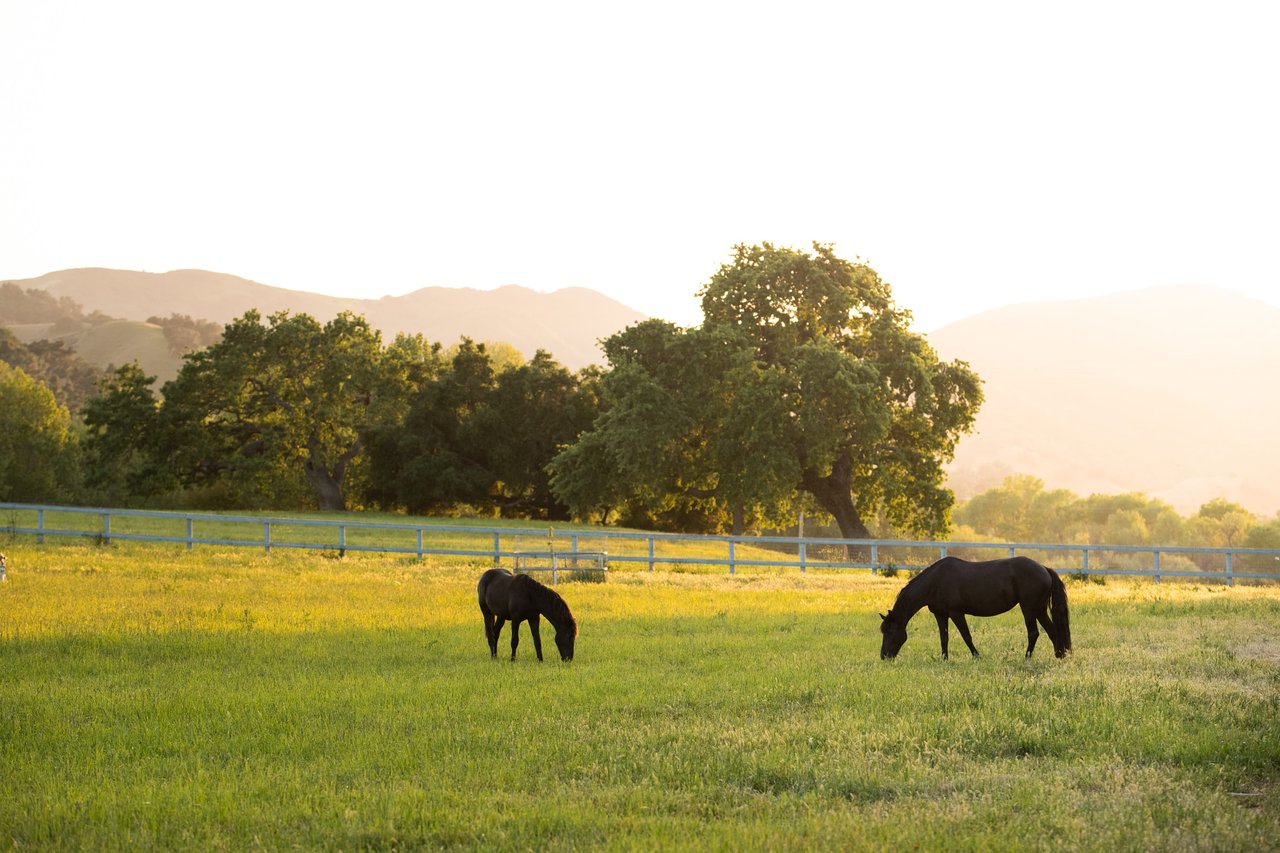 71+/- Enchanting Acres fronting the Santa Ynez River