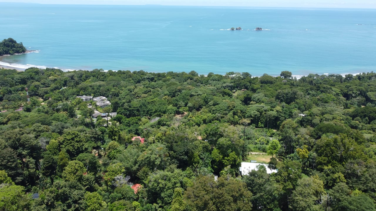 1.6 Acres Land Parcel in Ballena, Jungle Views.