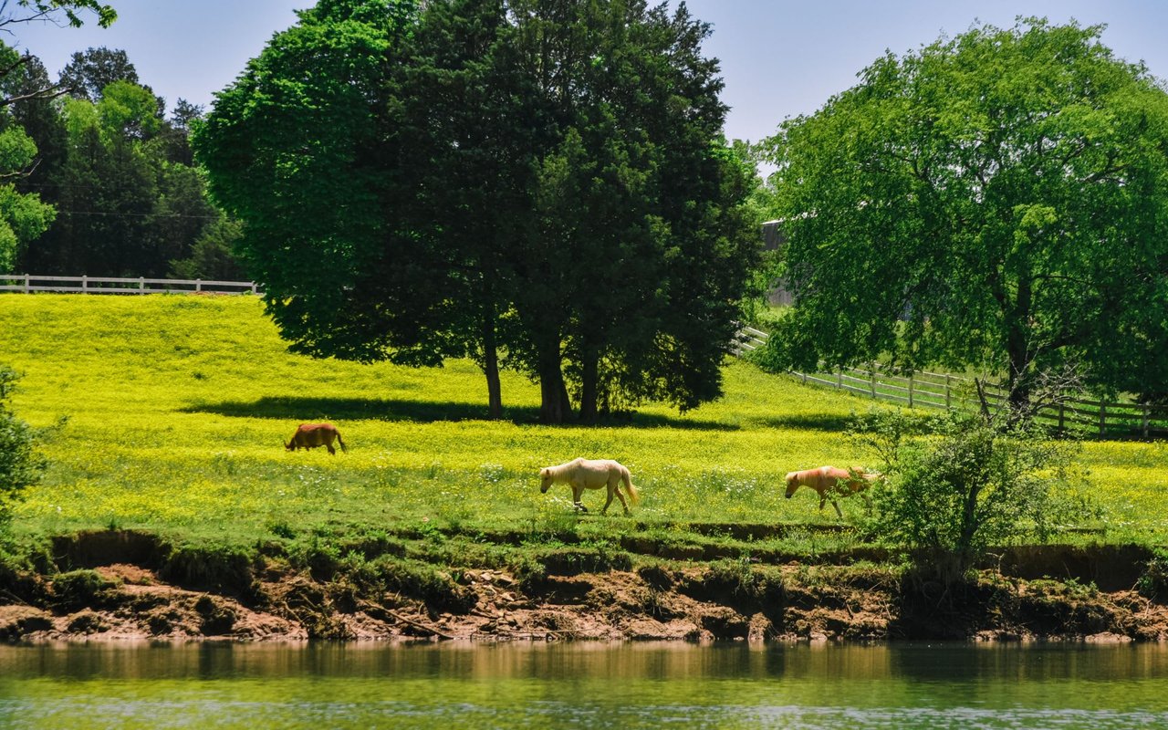 Leiper's Fork