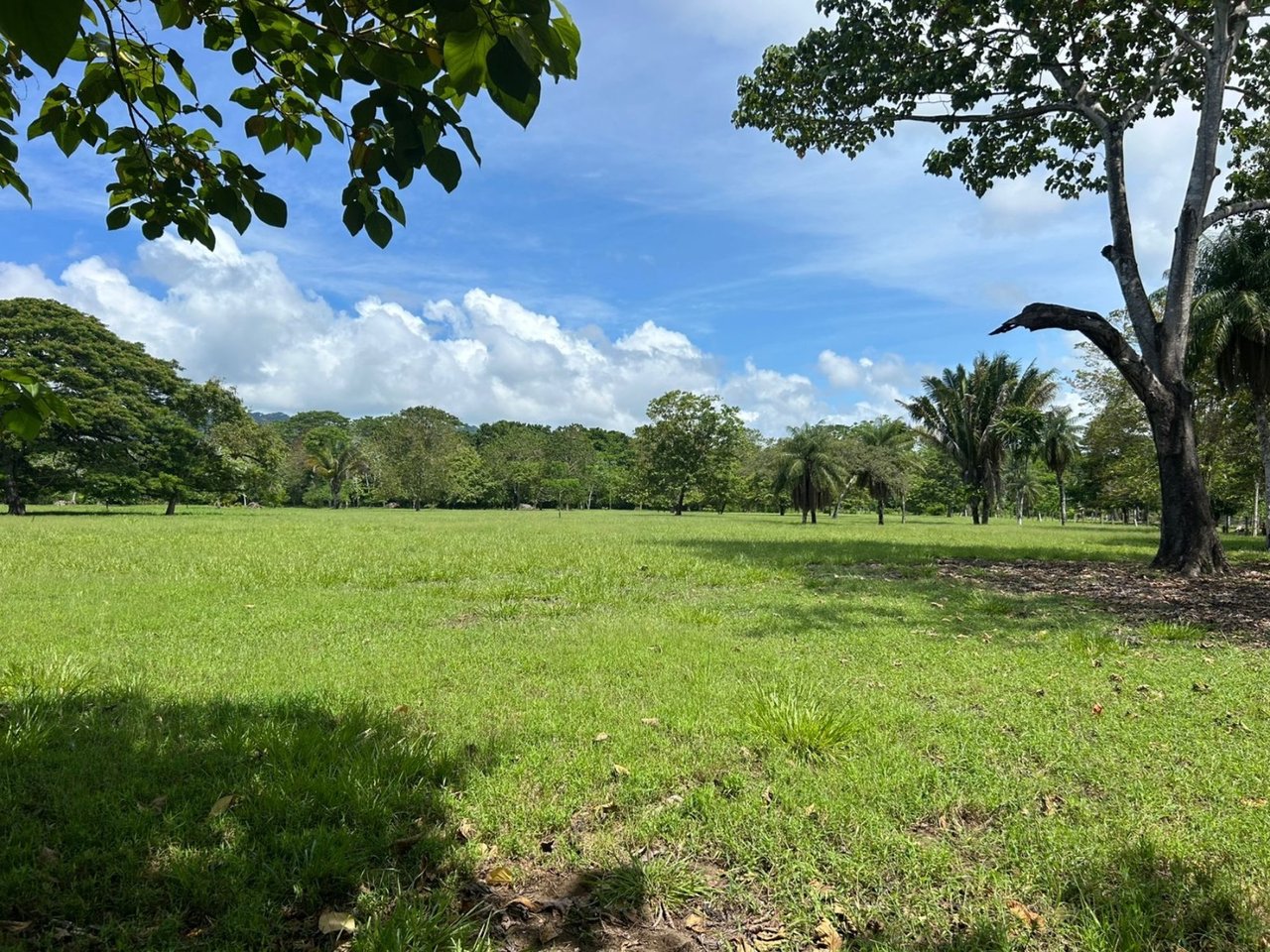 Titled Beachfront Development Land, Osa, Puntarenas