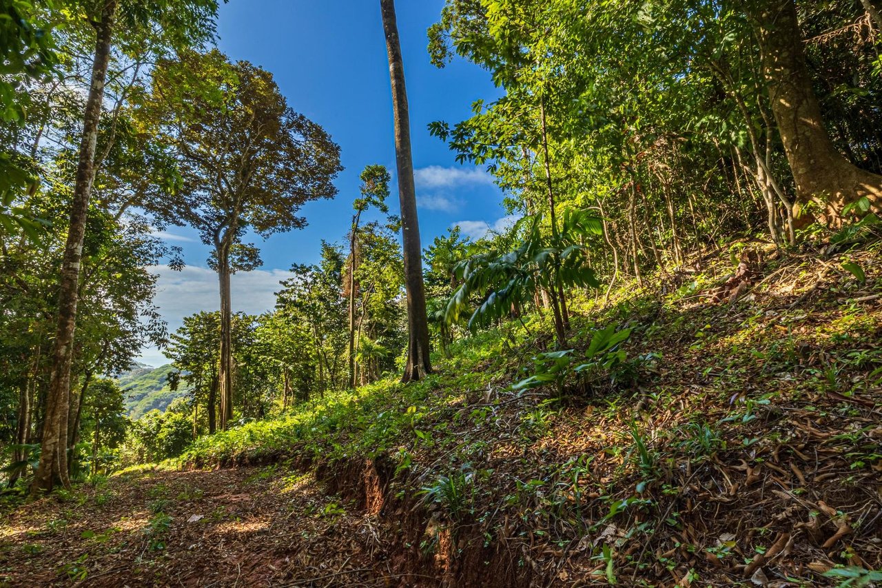 Private Ocean View Development Lot, Dominical, Puntarenas