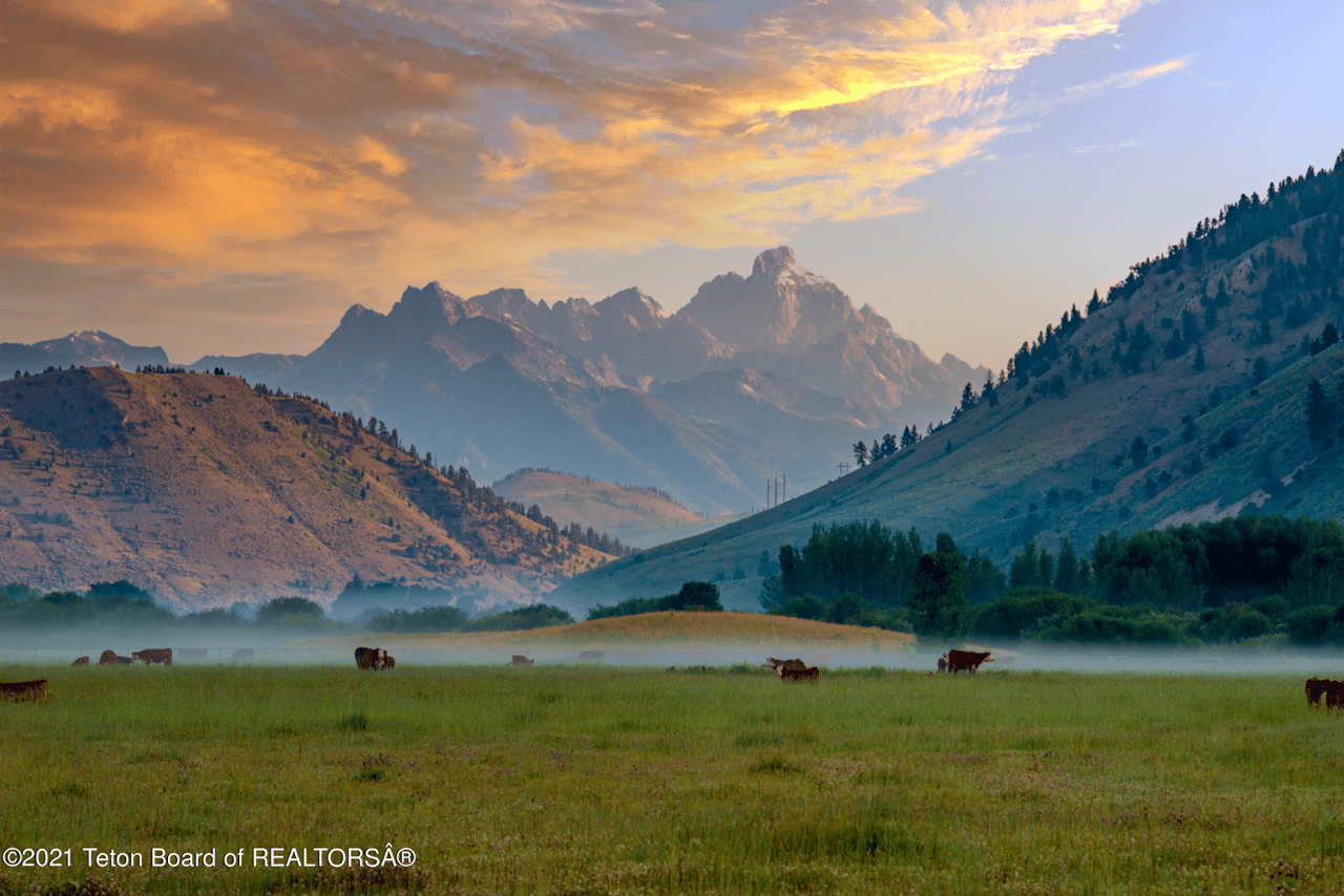 4 Ways Jackson Hole is the Perfect Escape