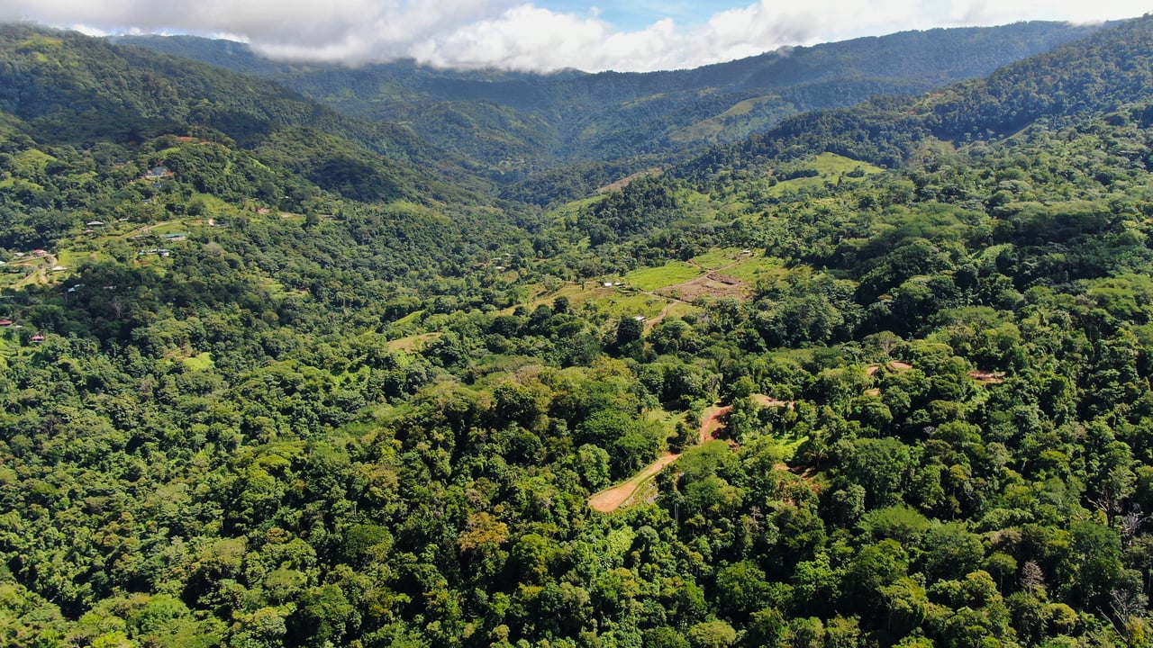 Whale Tail View Development Parcel, Uvita, Puntarenas