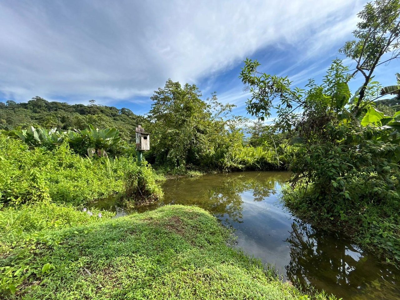 Sustainable Conservation Retreat, Osa, Puntarenas