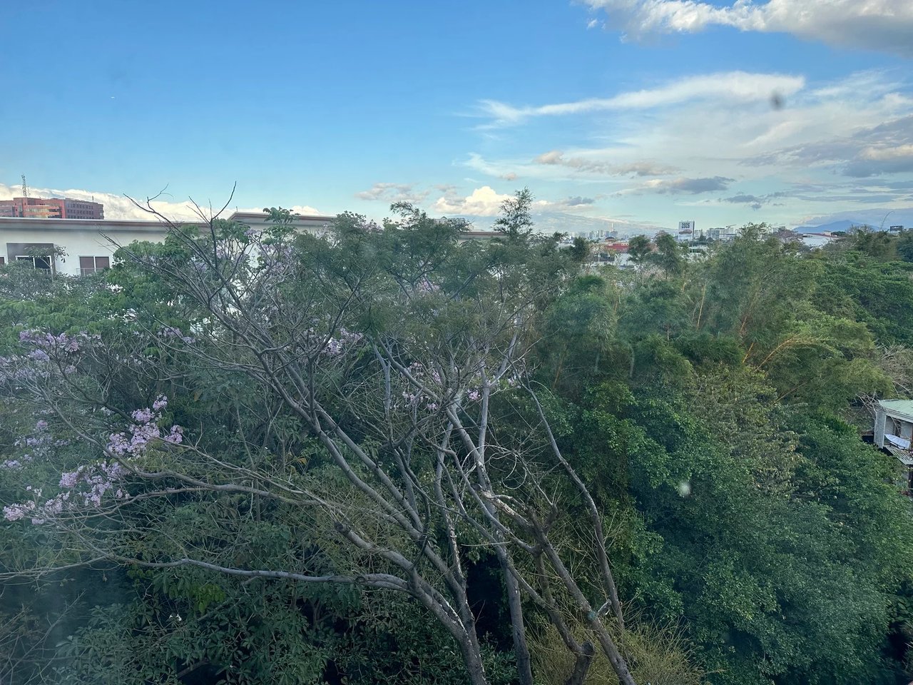 Forest View Penthouse Condo, Escazu, San Jose