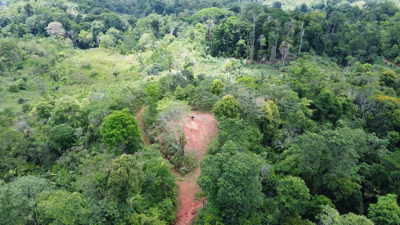 Conservation and Development Land for Sale