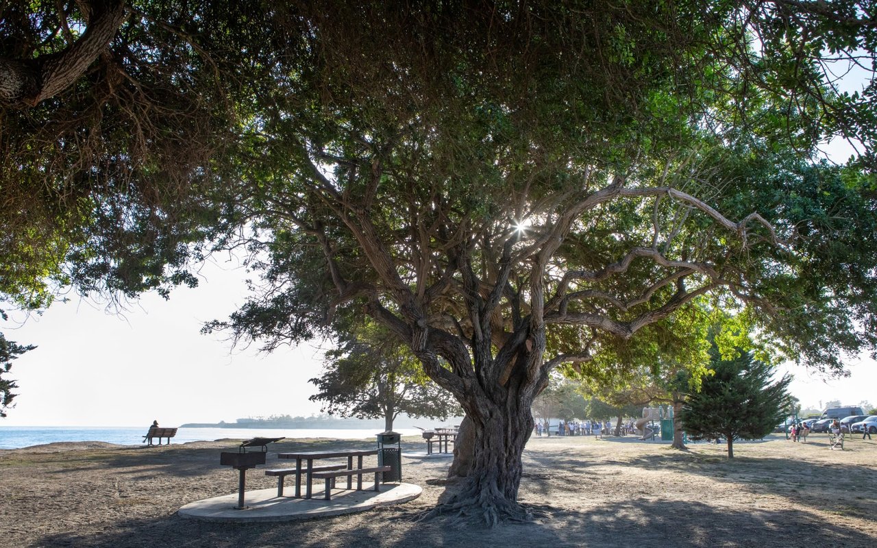 Goleta