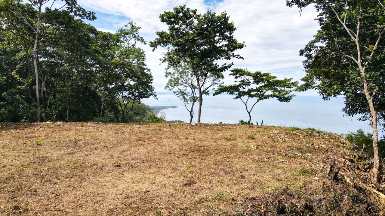 Panoramic Ocean View Lot, Dominical, Puntarenas