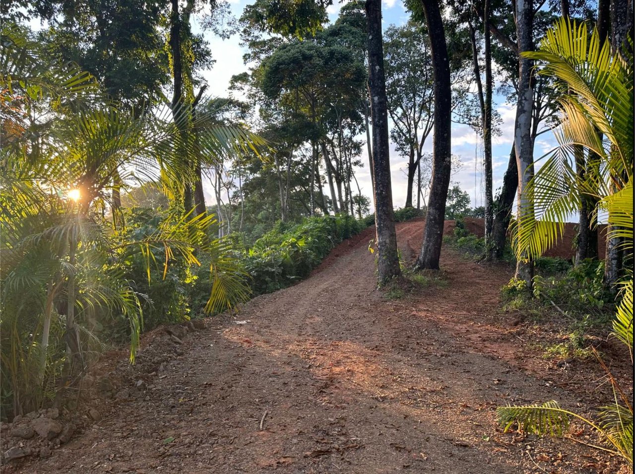 Ocean View Gated Development Lot, Dominical, Puntarenas