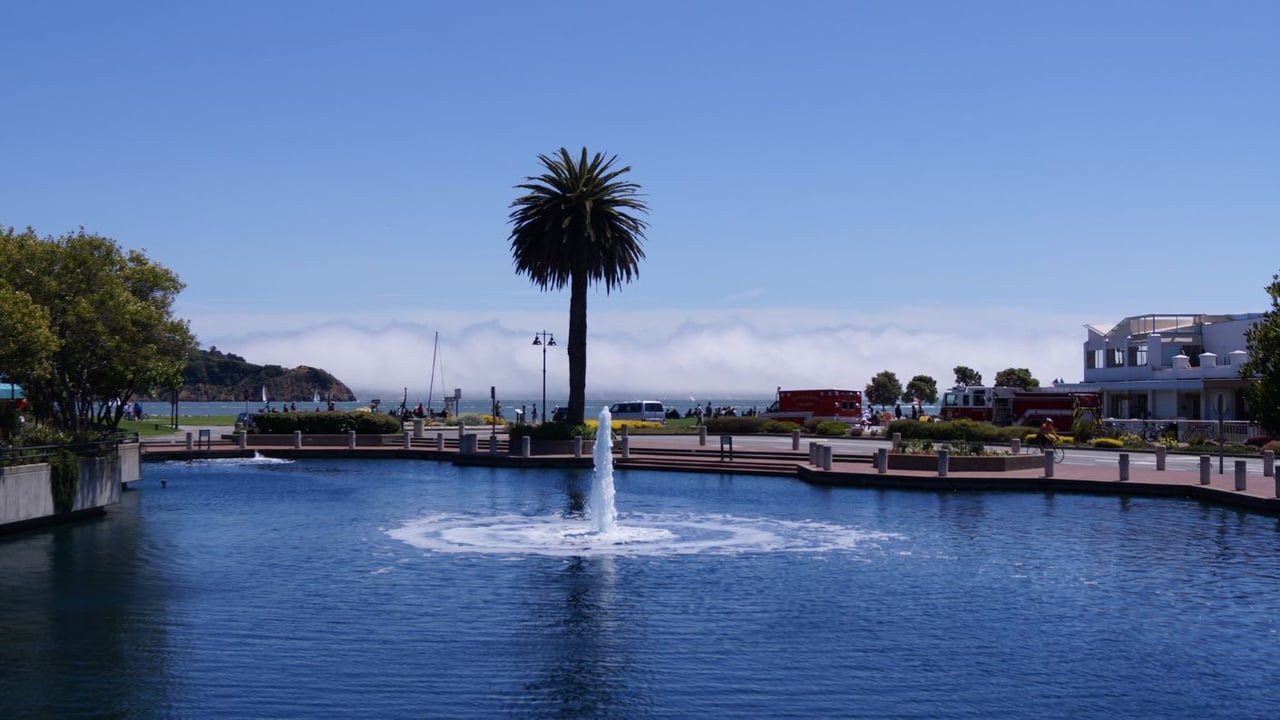 Tiburon - Dining, Shopping & Entertainment