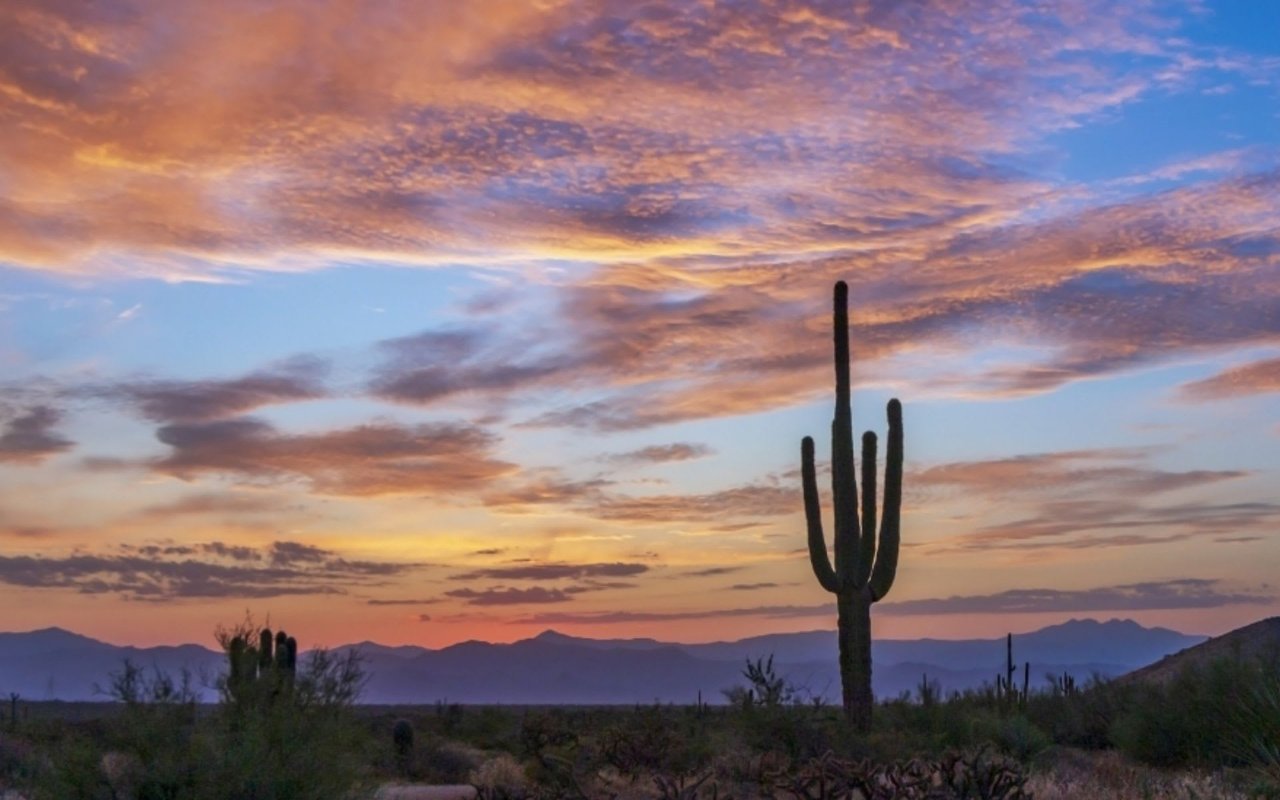 The 5 Best Sunrise Hikes in and Around Scottsdale