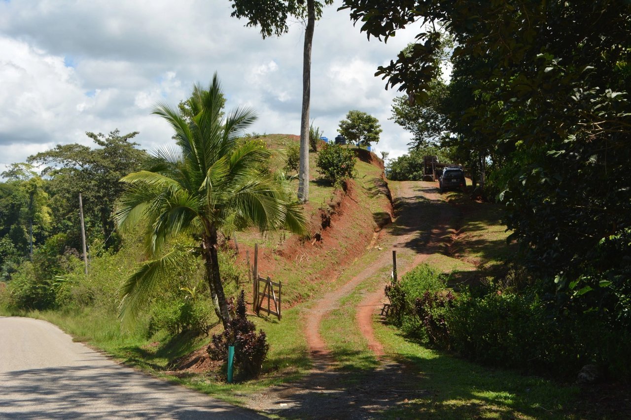 Expansive Ocean View Development Land, Osa, Puntarenas