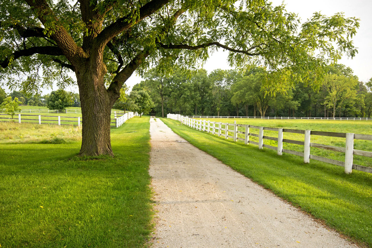 Leipers Fork