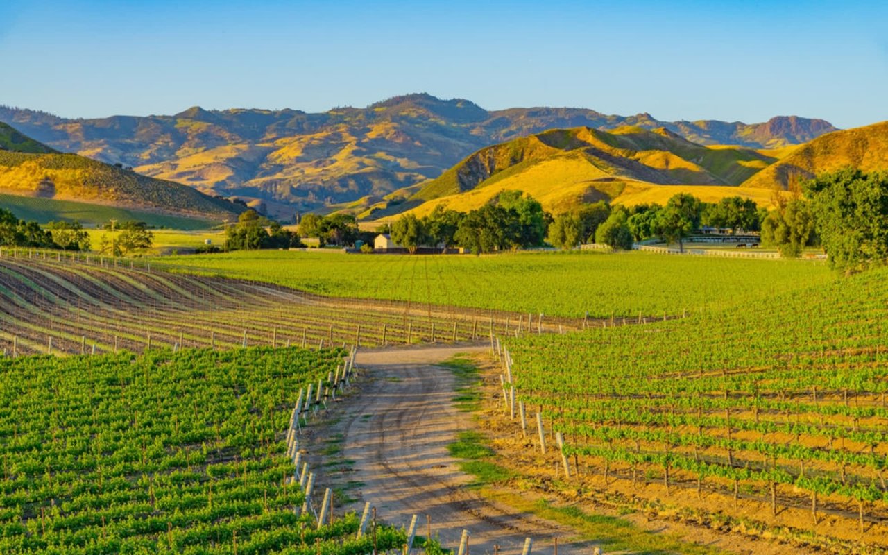 Where to Dine in Santa Ynez Valley