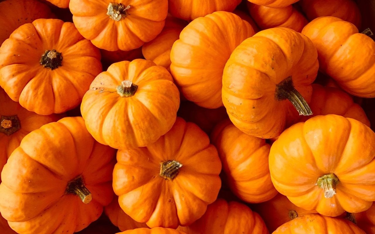 5 Fun Austin Fall Activities