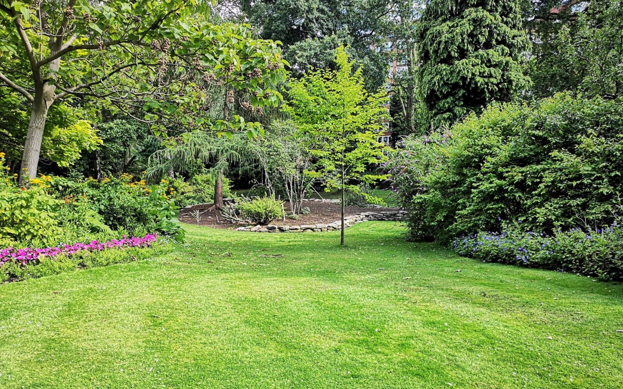 The Role of Landscaping in Boosting Your Home's Aesthetic Appeal