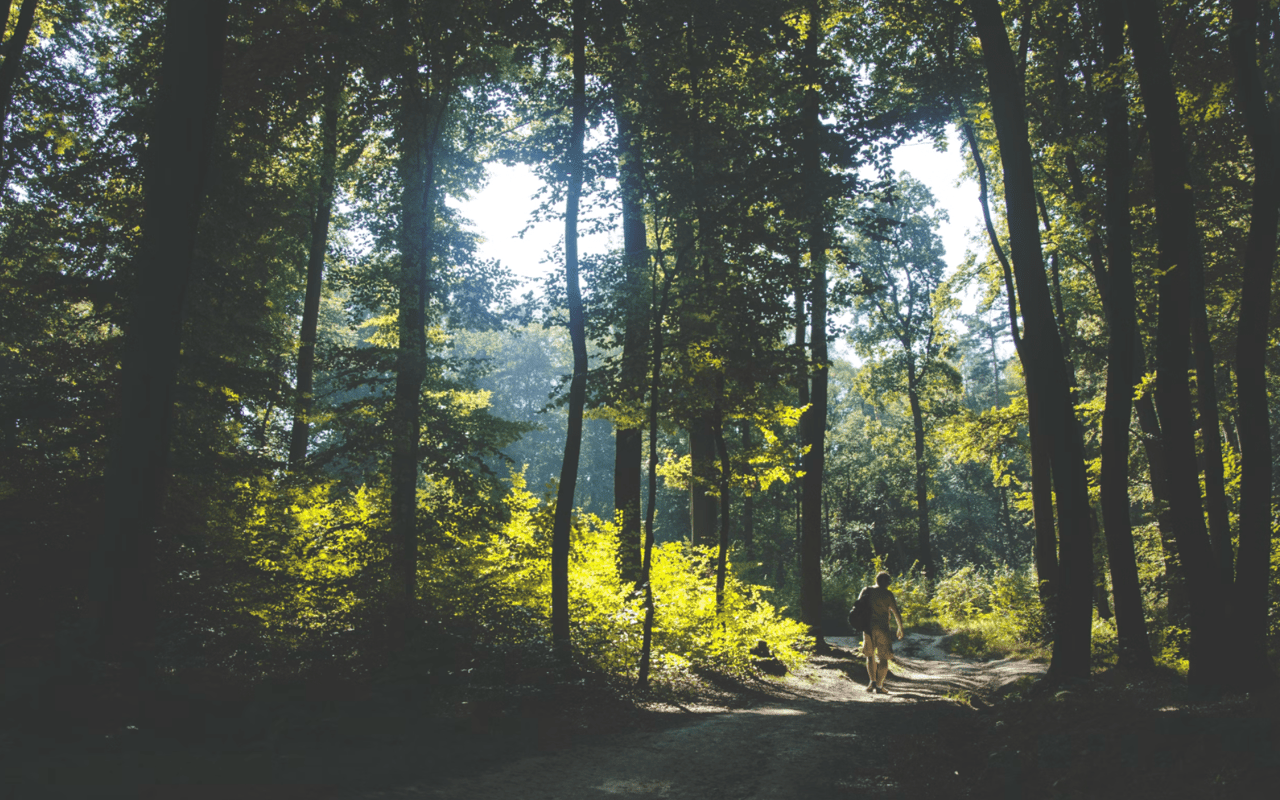 Hiking in Katy, TX