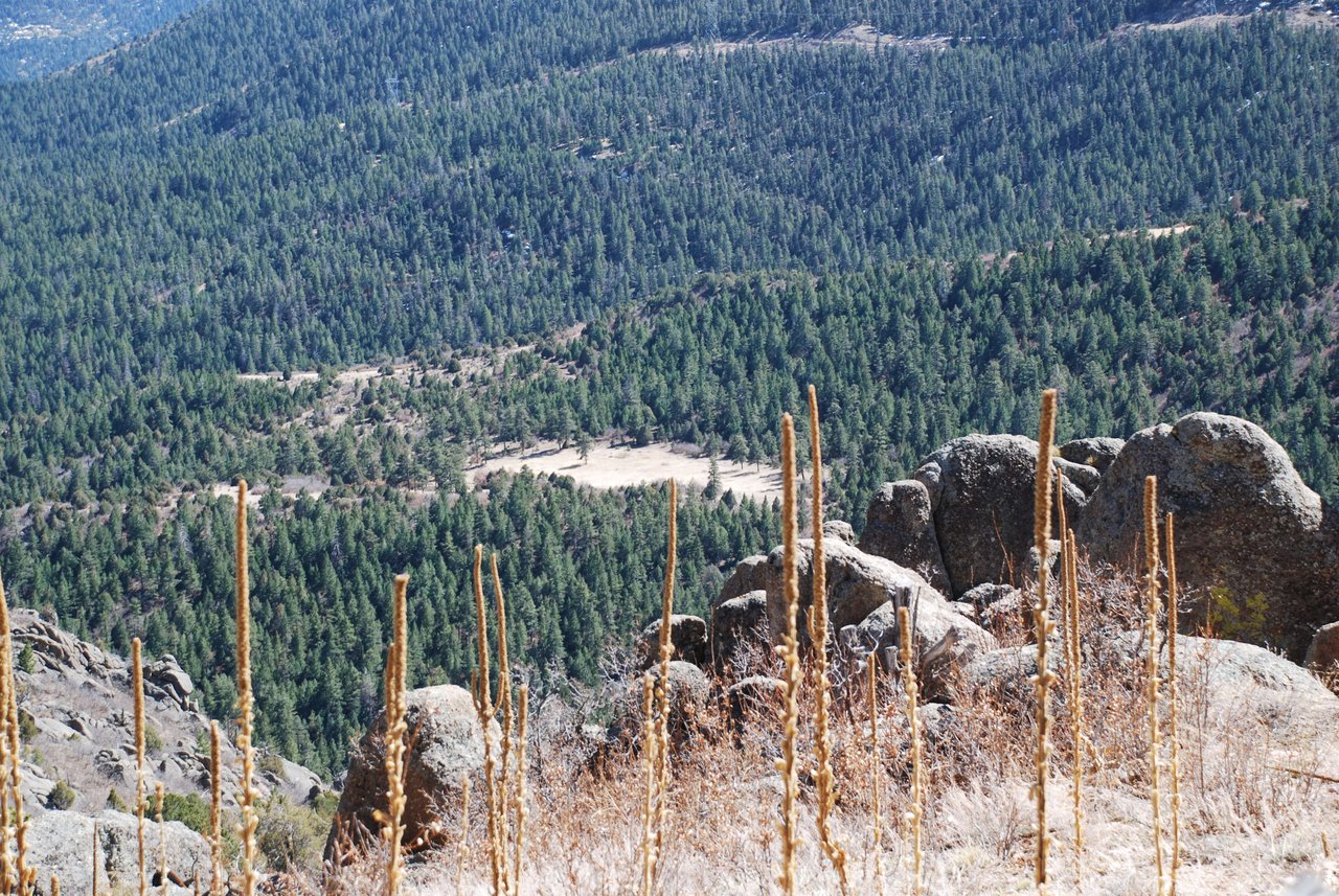 Elk Mountain Ranch