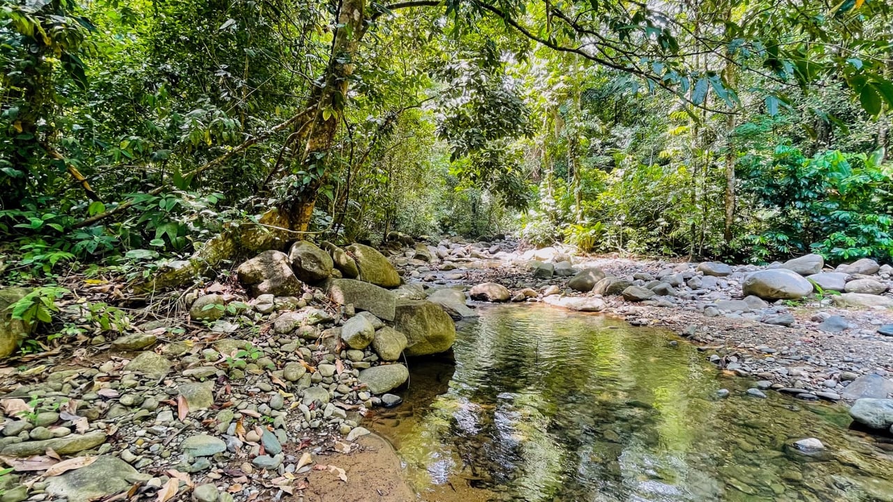 Riverfront Multi Residence Compound, Ojochal, Puntarenas