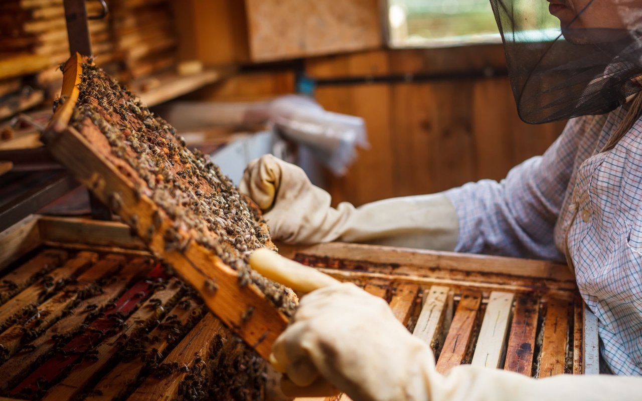 How to Make a Tin Can Bee Hotel to Celebrate Earth Week