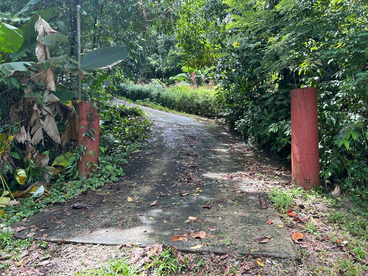 Secret Paradise Property in Altos de la Colonia