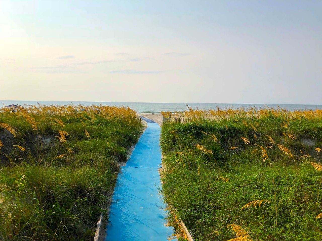 Palmetto Dunes