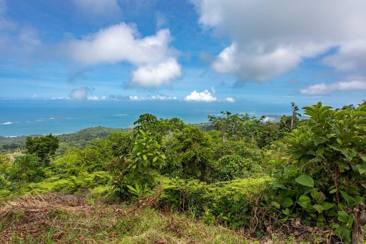 Rare Opportunity: Pristine 16-Acre Oceanview Sanctuary for Exclusive Development in Uvita