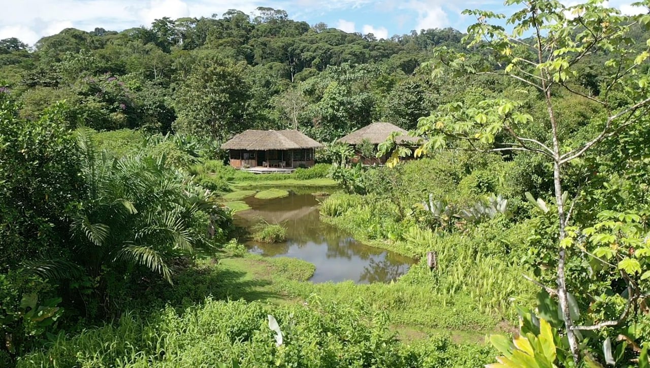 Sustainable Conservation Retreat, Osa, Puntarenas