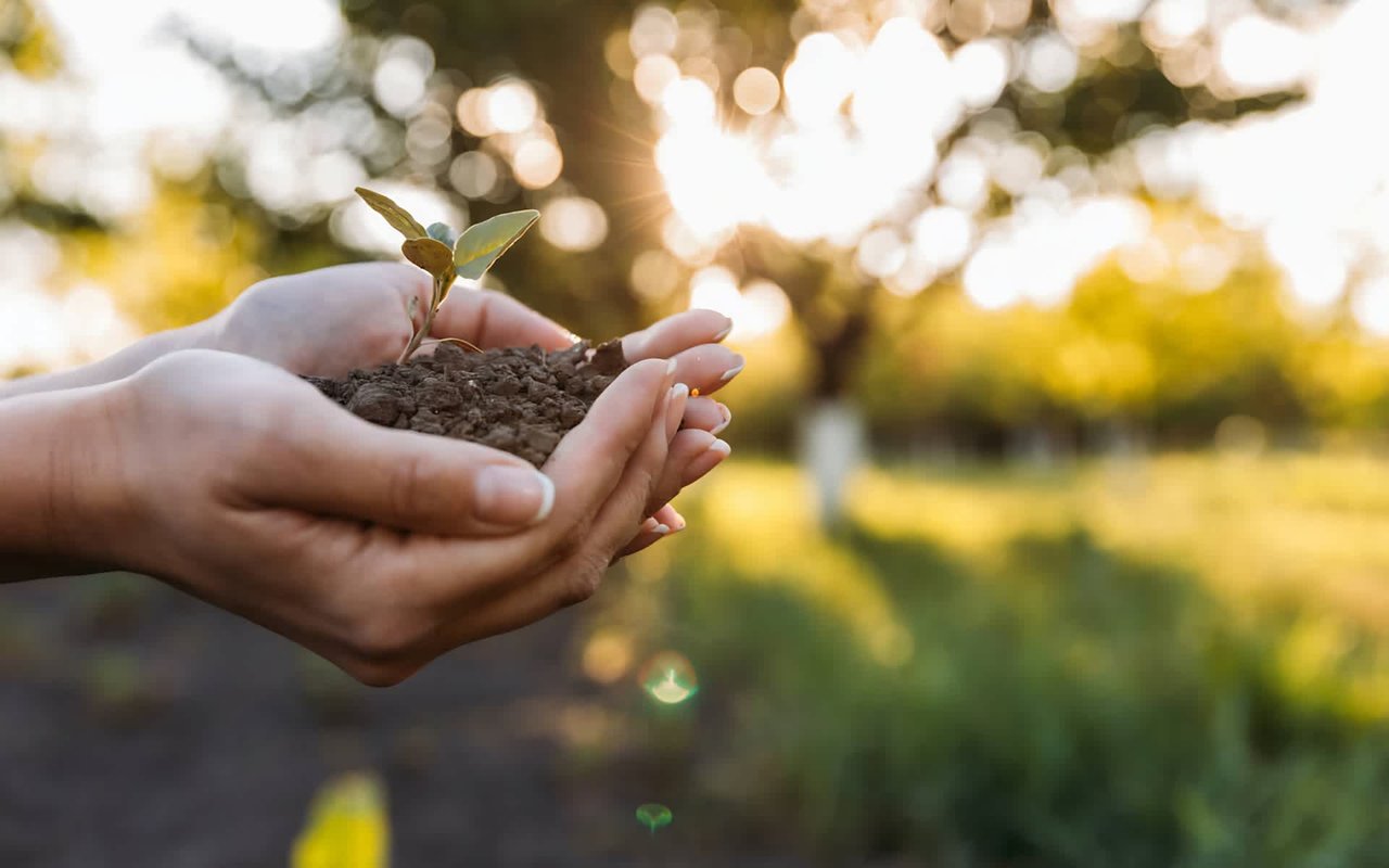 Small Ways You Can Help the Planet and Save the Environment