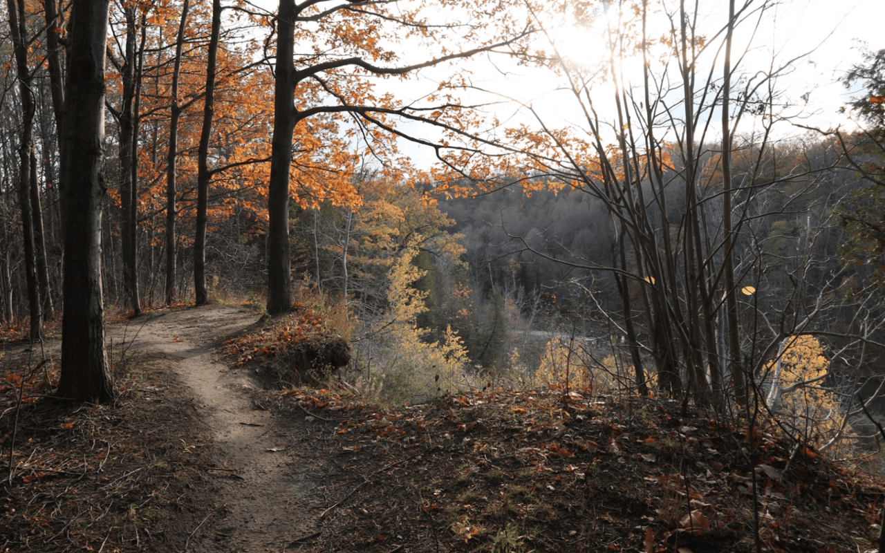 Things to Do in Scarborough Bluffs