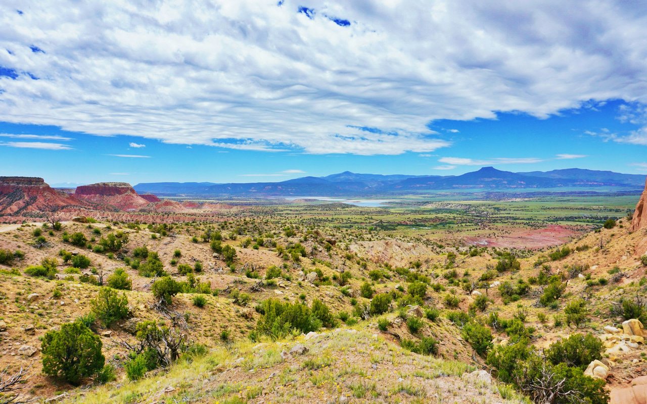 New Mexico